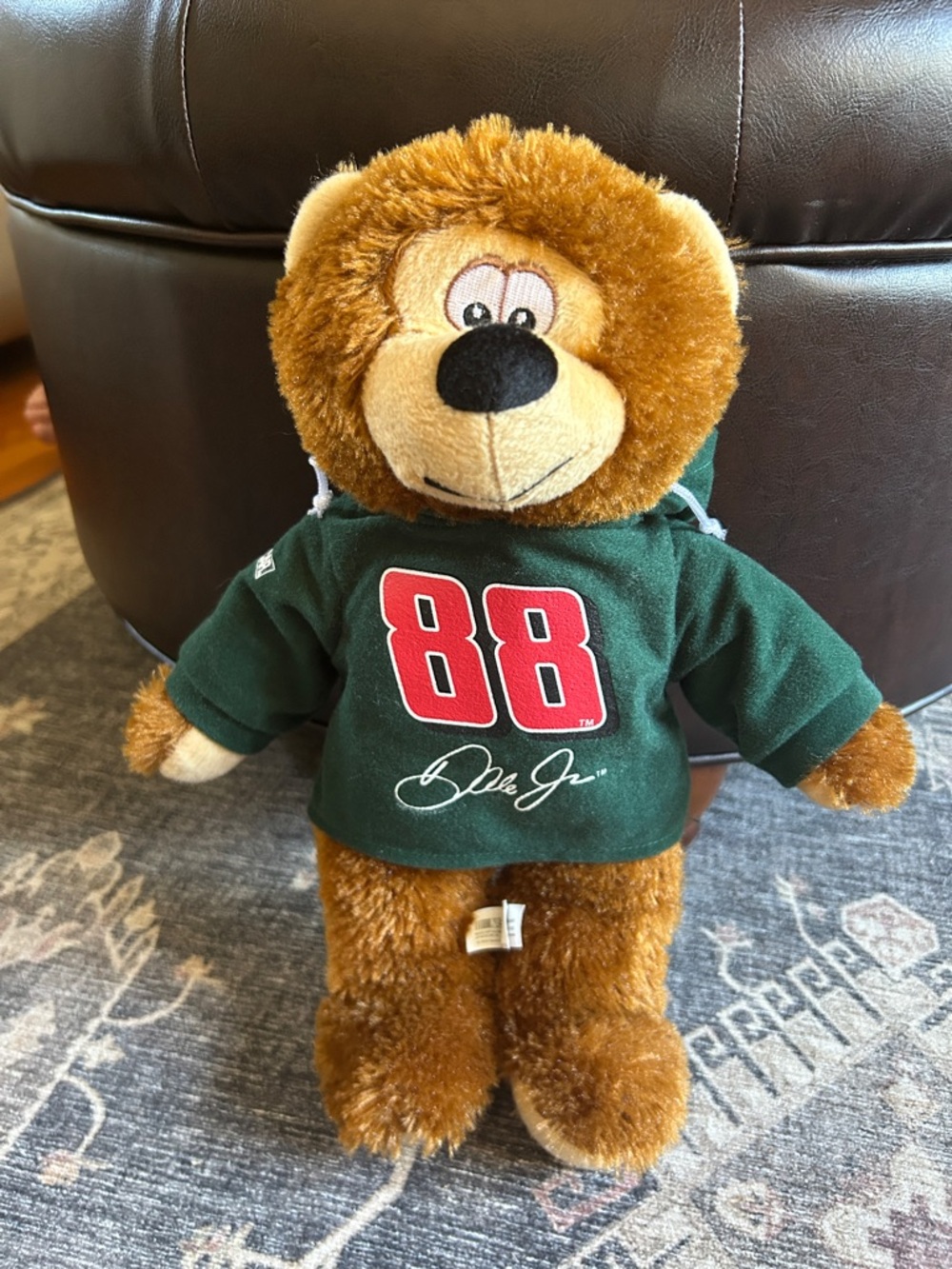 88 Dale Jr. Driver Plush Bear in Green Jersey Hoodie